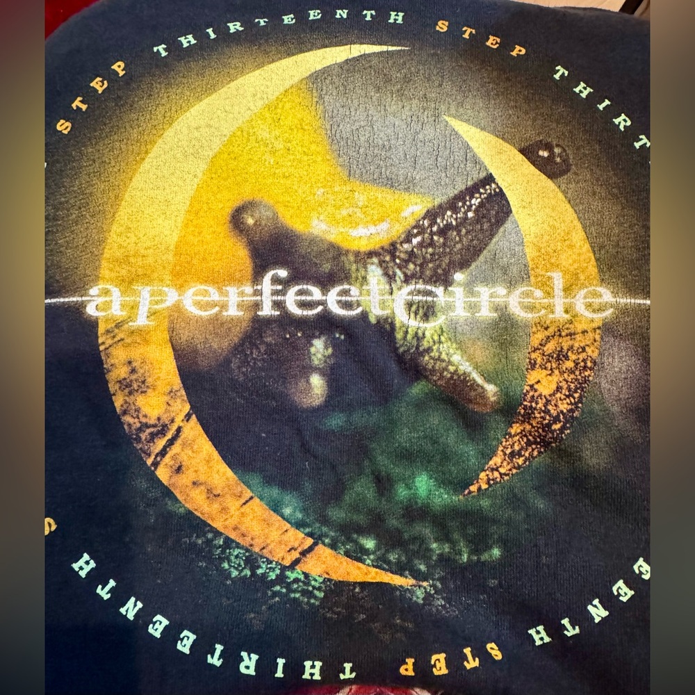 Rare Vintage A PERFECT CIRCLE 2003 Thirteenth Step Tour Shirt Excellent Size M - Picture 7 of 8
